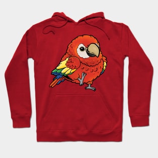 Cute Walking Scarlet Macaw - Parrot Bird Birb - Chibi Kawaii Anime Hoodie